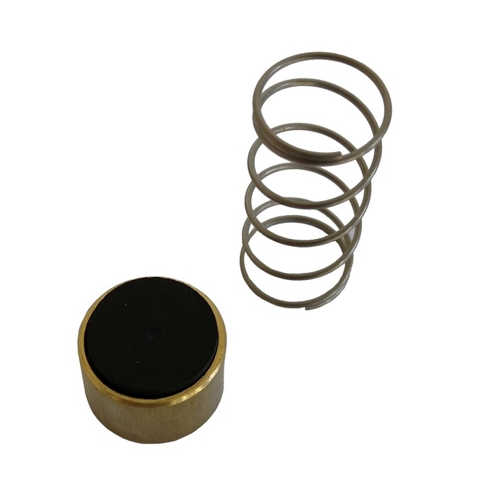 Reparo Para Válvula De Retenção 10 Pés - Compressor A Pistão